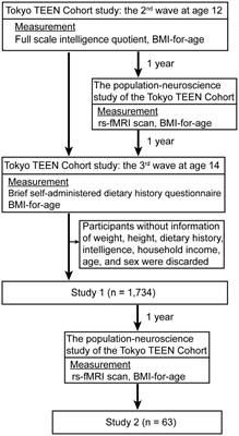 Macronutrient intake is associated with intelligence and neural development in adolescents